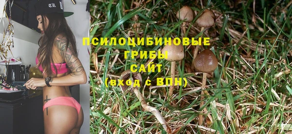 дмт Зерноград